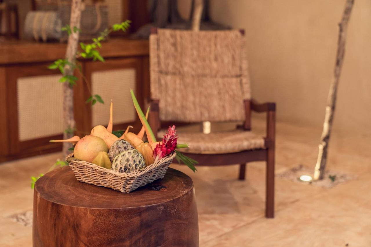Oriundo Luxury Nature Villas 巴利亚多利德 外观 照片